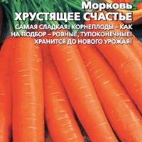 �������-���������-�������