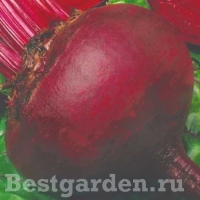 ������ ���� 2 ��.