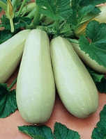 f1_56d8a1c0-da5c-446d-8e5a-d8080b8b83f5