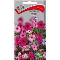 �������� �����