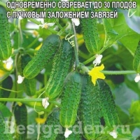 �������������������������������