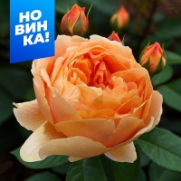 ��������0