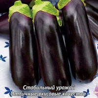 �������� ׸���� ����