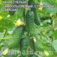 �������������������������������