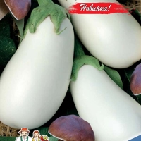 baklazhan-mechta-gribnika