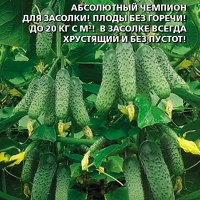 ������ ������ F1