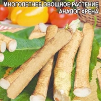 ������ (����) �������� 0,3 ��.