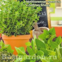 �������������������������������