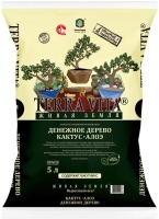 ��� ������