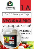 ������������� ������ 1�