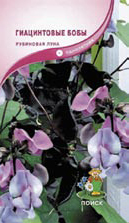 f1_b9007014-368a-4cfc-ad5e-6d3347ed661c