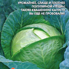 �������-������������-����-��-�����-F1