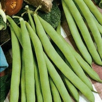 ������ ��������� ����� ��� ������� 615