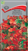 fasol_viuschiyasya_ogneno_krasnaya