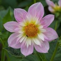 �������0