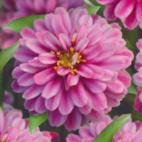 �������������������������������