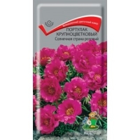 �������� ��������������� ��������� ������ �������