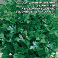 �������� �������������