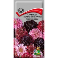 �������� �������� ������ �-������ 