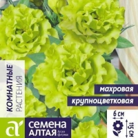 ������� ABC ���� �������� 5 ��.