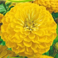 �������������������������������