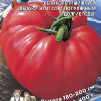 ����� ��������� ������