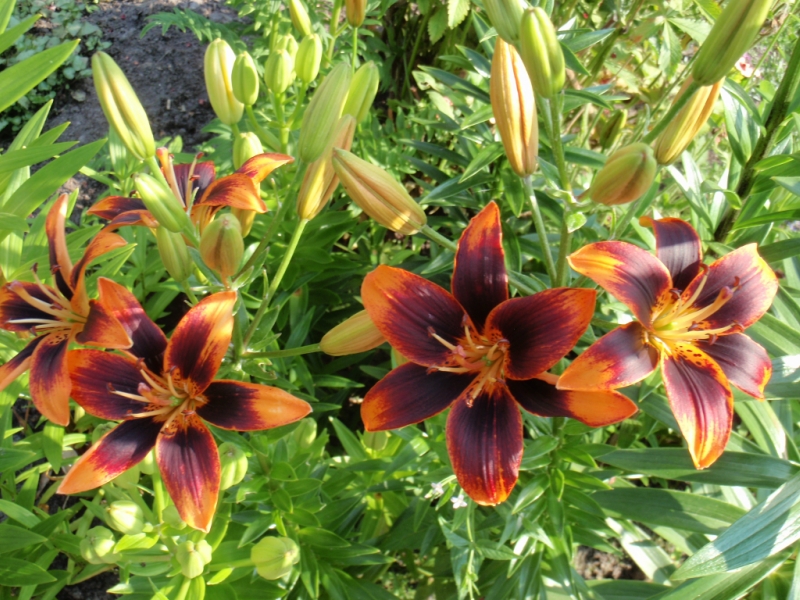 f1_a351c2b0-d5d0-489a-a4aa-5b7cfc9b2839