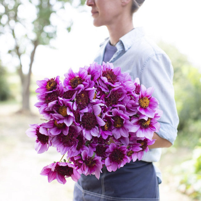 �������� ��� ��� 2