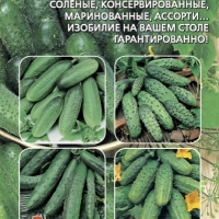 ������ ����� ���������