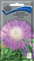 vasilek_podbelenniy_rozoviy