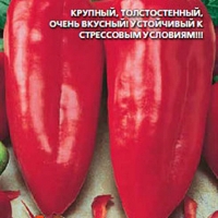 �����-�������-�������-20-��-�����-