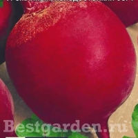 �������������������������������