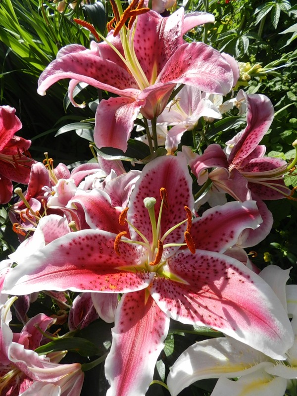 f1_b0705c1a-02c3-44c0-a771-27303e3cd916