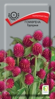 gomfrena_purpurnaya
