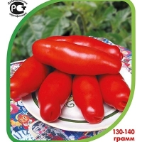 ����� �������� ������ (�������)