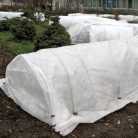 f1_c2093f1b-da9f-4e99-8bf0-1298775ce1fb