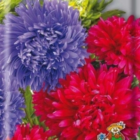 ����� ��������� ������ � �����