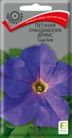 petunia_grandiflora_drims_sky_blue