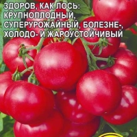 ����� ���� F1 3 ��.