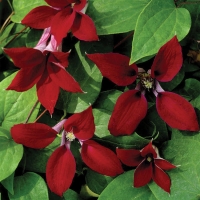 f1_76c89af4-241f-43fa-9033-63142270db27