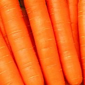 ������� ����� ����� (�����)