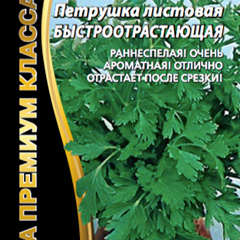 ��������-��������-������-�����������