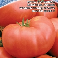 ����� �������� �������