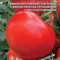 �������� �����������