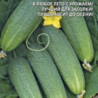 ������ ������������ F1