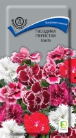 gvozdika_peristaya_sonata