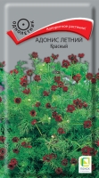 adonis_letny_krasny