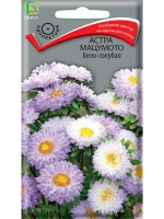 ����� �������� ���-���