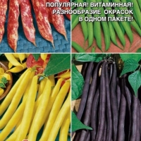 ������ ��������� ��������