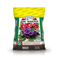 �������������������������������